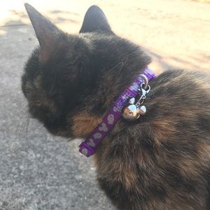 Meet your Posher, Courtney